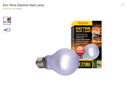 Screen Shot 2020-08-08 at 11.27.13 AM.png