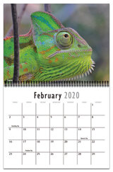 cal20_feb150sh.jpg cal20_feb150sh.jpg
