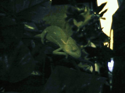 P1090283.jpg