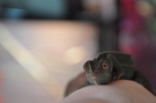 DSC_0180_2.jpg