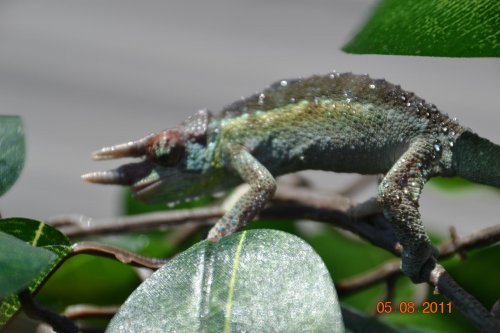 DSC_0316.jpg