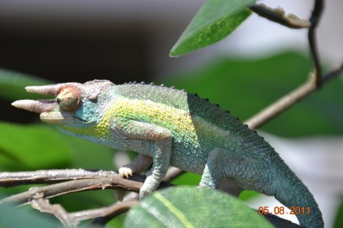 DSC_0331.jpg