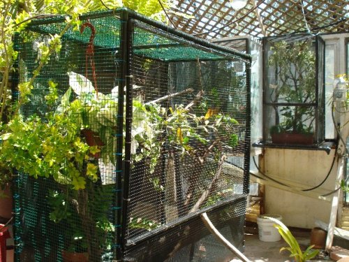 finish cage for the Melleri.jpg