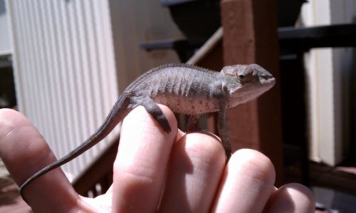IMAG0635.jpg