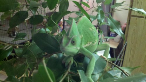2011-04-13_09-09-29_233.jpg