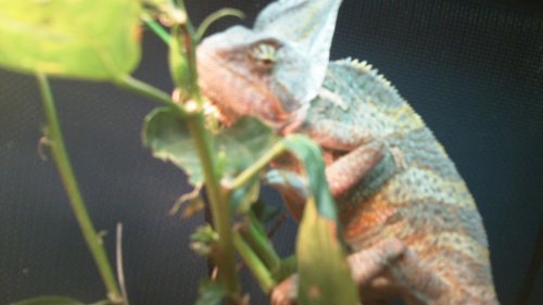 100_0051.jpg