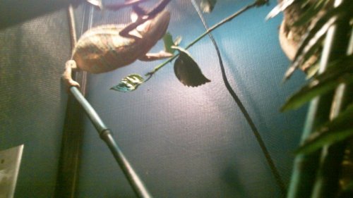 100_0053.jpg