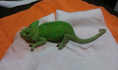 May 20 2011 1st hour.jpg