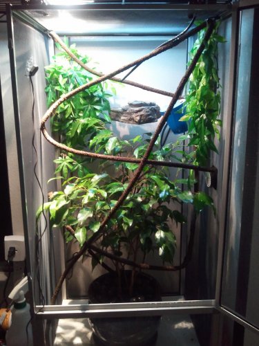 2011-05-21 21.14.11.jpg