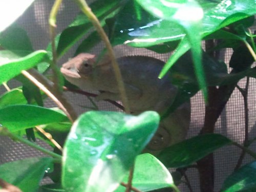 2011-05-21 21.16.43.jpg