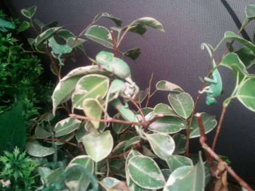 2011-05-22 13.46.50.jpg