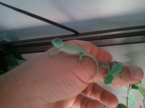 2011-05-22 13.47.36.jpg