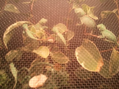 2011-05-22 13.49.40.jpg