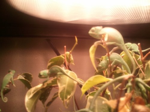 2011-05-22 13.52.33.jpg