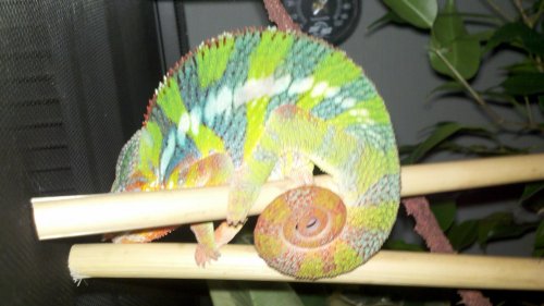2011-05-22_19-43-45_469.jpg