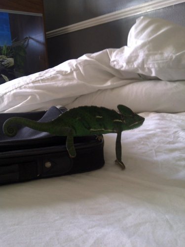 IMG-20110523-00005-1.jpg