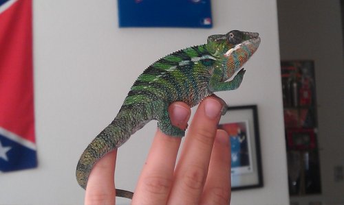 IMAG0086.jpg