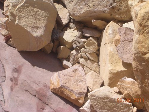 DSCN4937.jpg