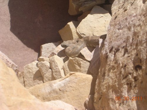 DSCN4938.jpg