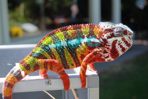 Pastebot 2011-06-01 09.36.16 AM.jpg