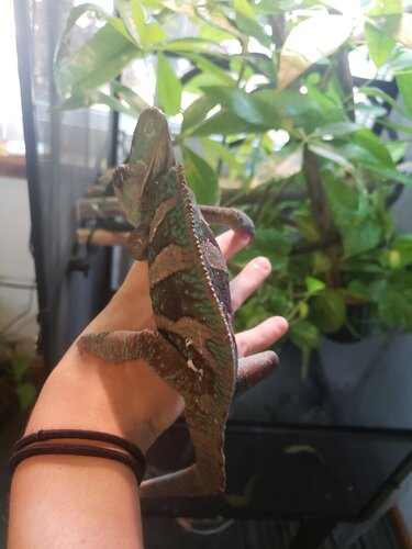 20201001_113133.jpg