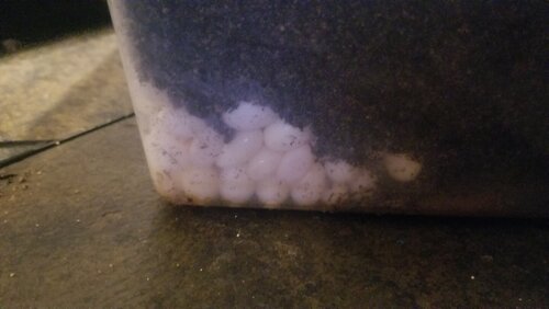 20201001_193321.jpg