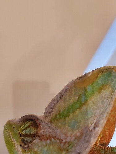 20201013_171353.jpg