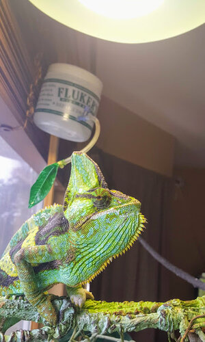 Squirt 10.25.jpg