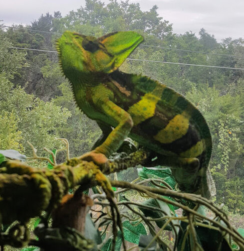 Squirt 10.25.1.jpg