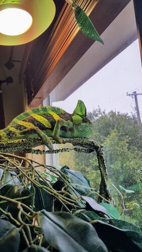 Squirt 10.26.jpg