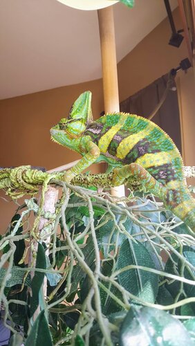 Squirt 10.18.jpg
