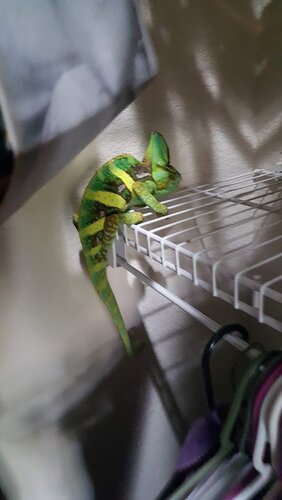 Squirt 10.19.jpg