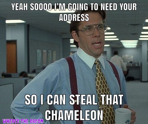 D1546672-441B-4CDC-81D2-98702851CDEF.jpeg