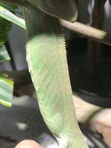 1DA626F1-0087-4F3C-95FB-25F852F6DF17.jpeg