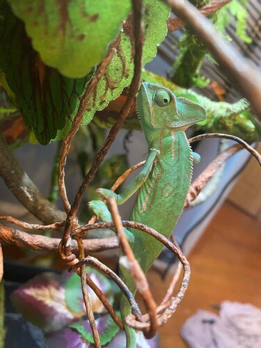 Inkedimage0 (2)_LI.jpg