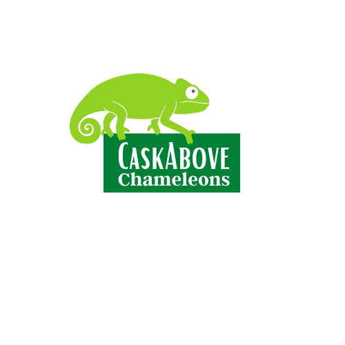 CaskAbove Chameleons.png