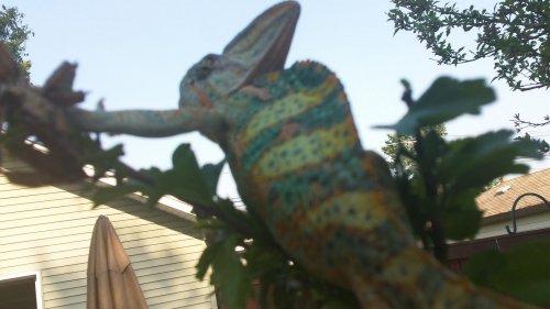 100_0067.jpg