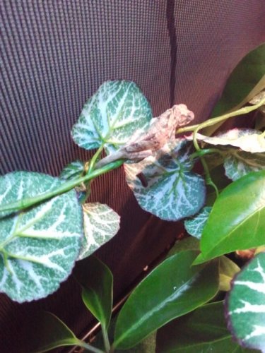 2011-06-03 22.27.19.jpg