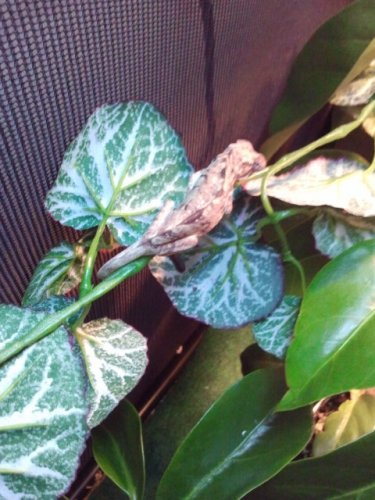 2011-06-03 22.27.33.jpg