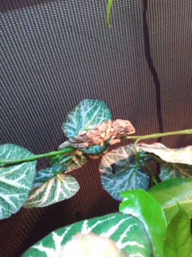 2011-06-03 22.27.49.jpg