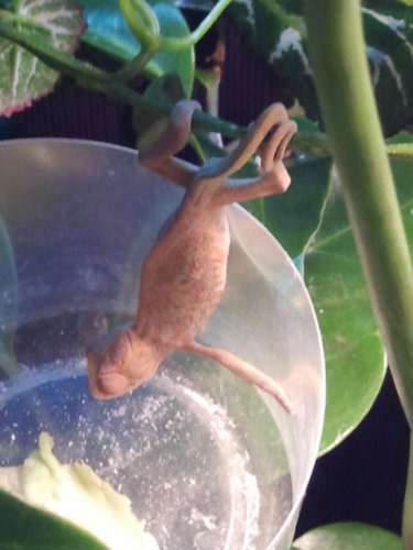 2011-06-05 00.21.27.jpg