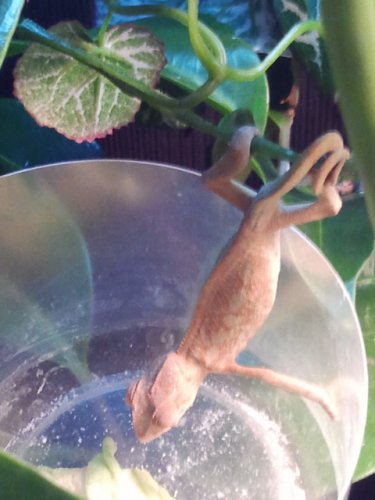 2011-06-05 00.21.44.jpg