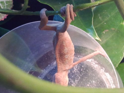 2011-06-05 00.22.20.jpg