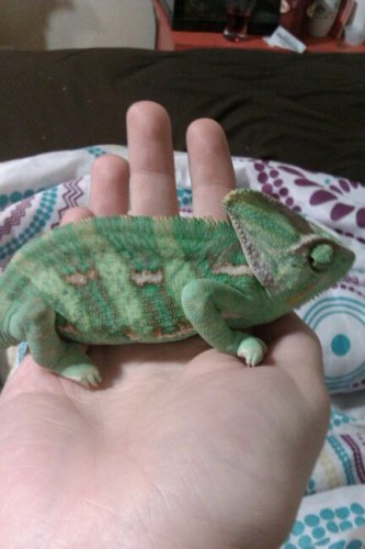 jose earlier today.jpg