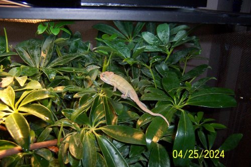 100_2316.jpg