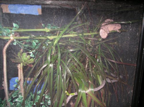 Picture 108.jpg