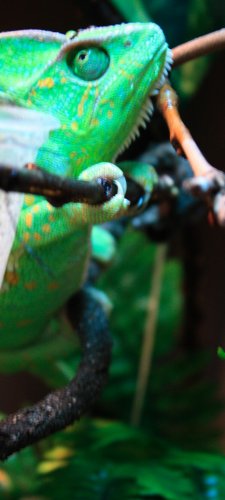 IMG_0757.jpg