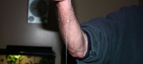 IMG_0766.jpg