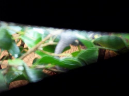 100_0047.jpg