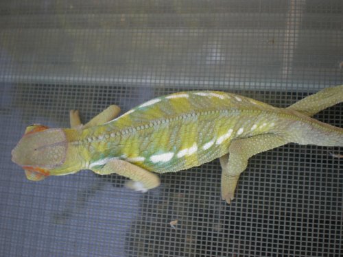 resize3.jpg